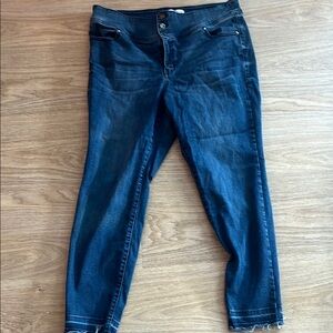 Lane Bryant Dark Blue Ankle Jeans